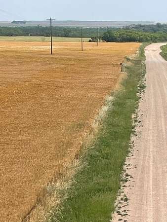 45 Acres of Agricultural & Residential Land for Sale in Ballinger, Texas