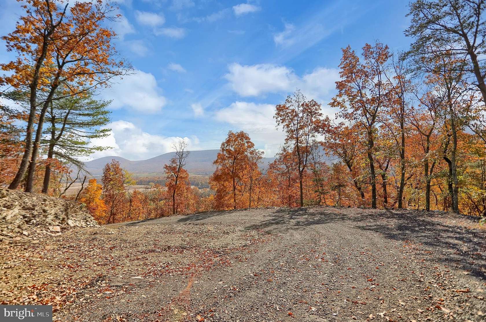 39 Acres of Recreational & Residential Land for Sale in Avis, Pennsylvania