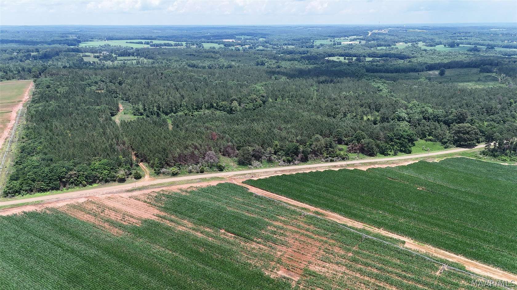 154 Acres of Land for Sale in Banks, Alabama
