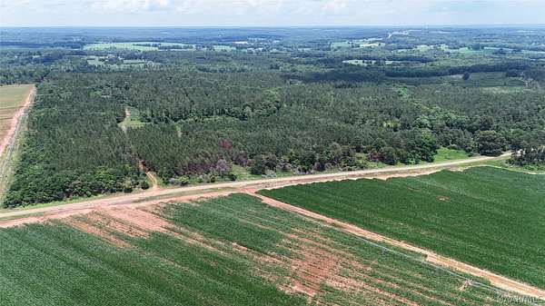 154 Acres of Land for Sale in Banks, Alabama
