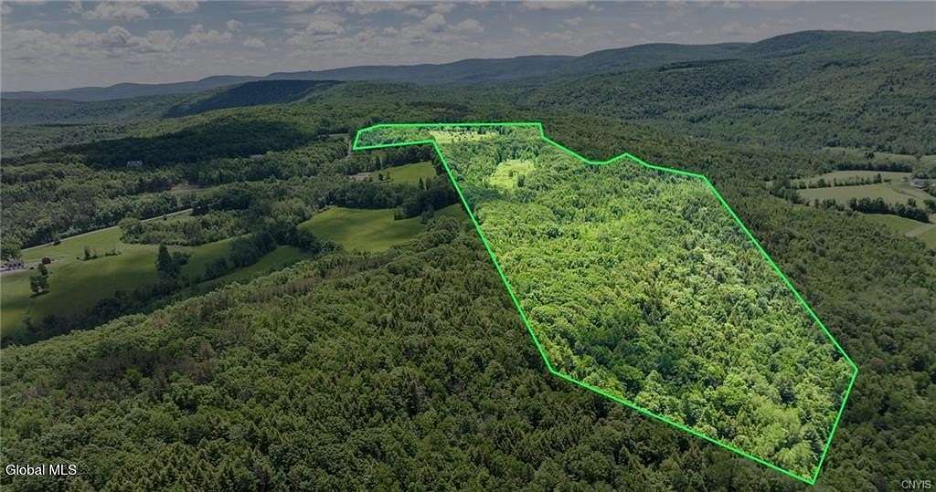 50.9 Acres of Recreational Land for Sale in Cobleskill, New York