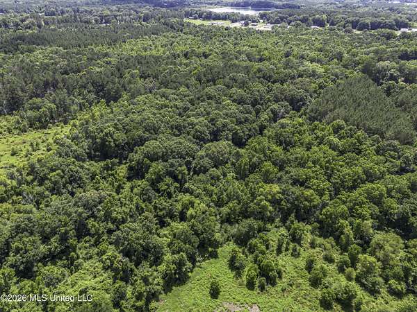 18 Acres of Land for Sale in Carthage, Mississippi