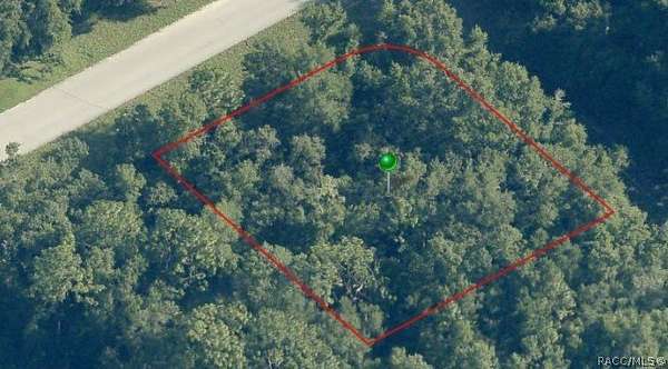 0.34 Acres of Residential Land for Sale in Dunnellon, Florida