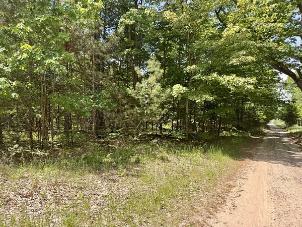 1 Acre of Residential Land for Sale in Indian River, Michigan