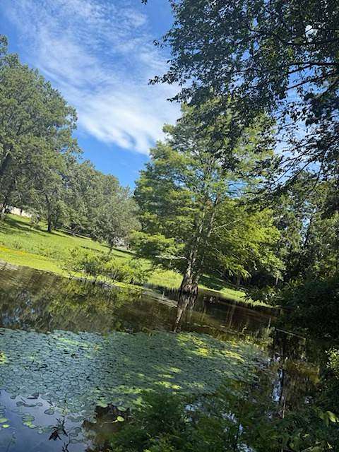 2.3 Acres of Land for Sale in Many, Louisiana