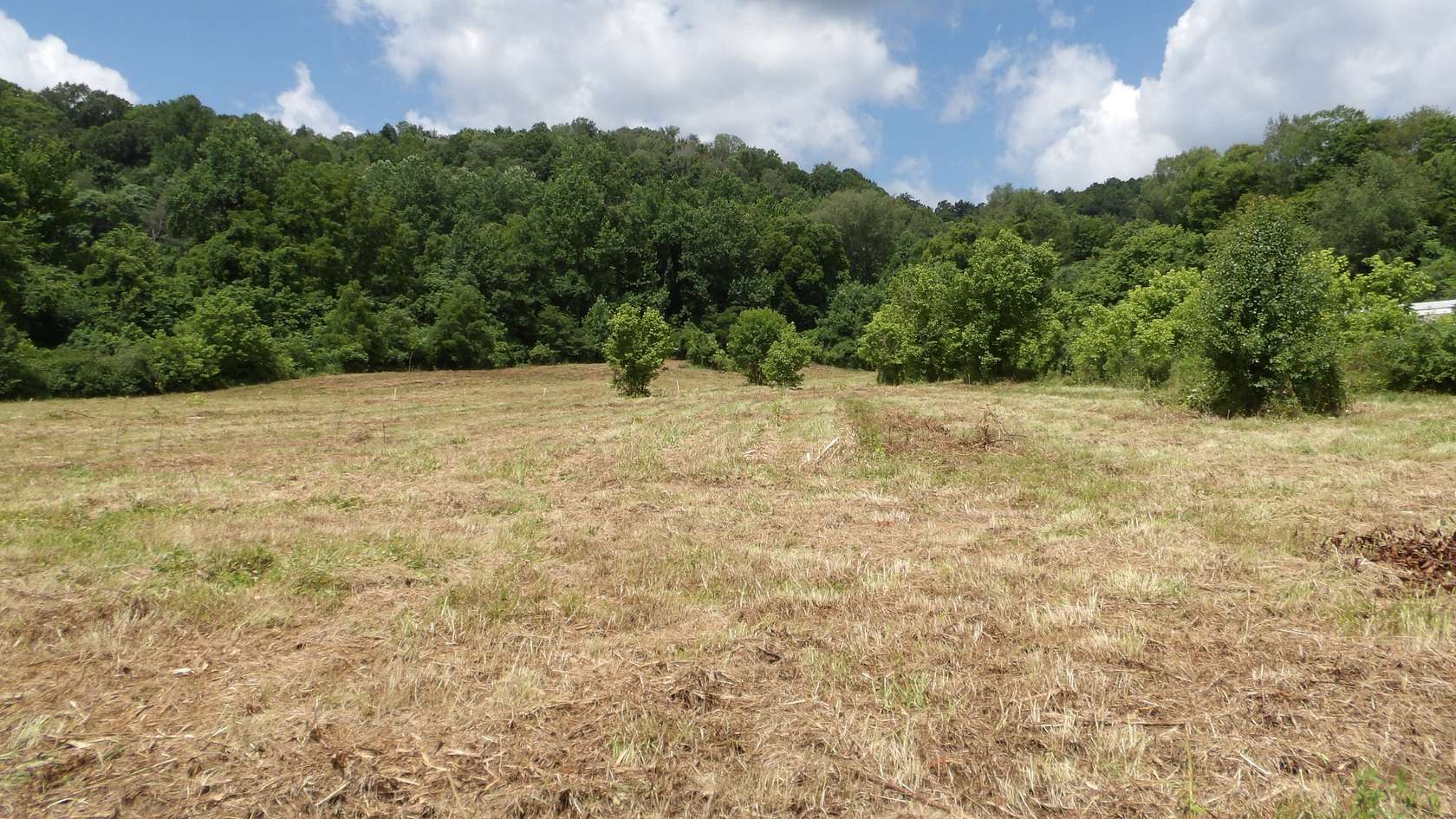 5.6 Acres of Mixed-Use Land for Sale in Celina, Tennessee
