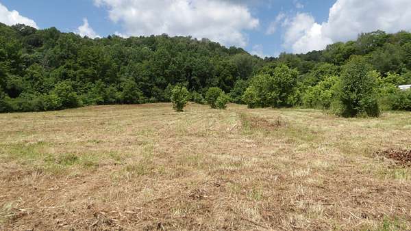 5.6 Acres of Mixed-Use Land for Sale in Celina, Tennessee