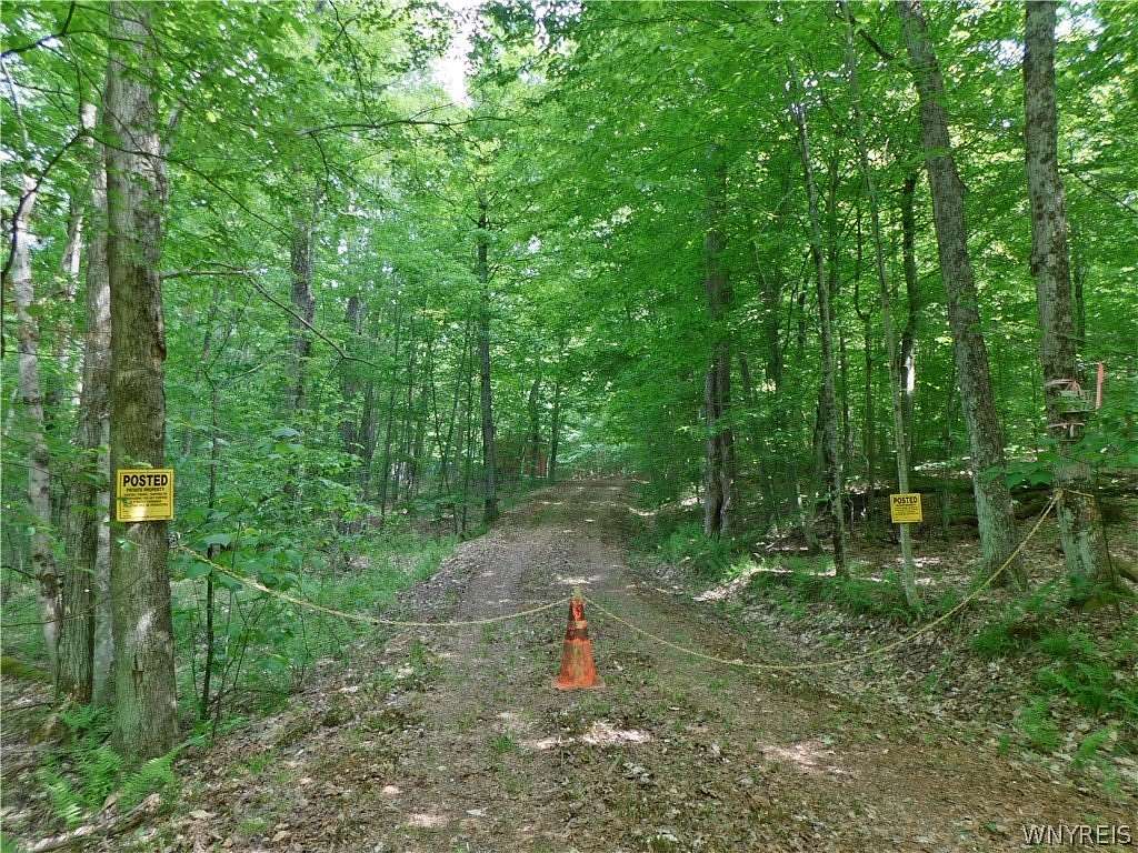 5.7 Acres of Land for Sale in Friendship, New York