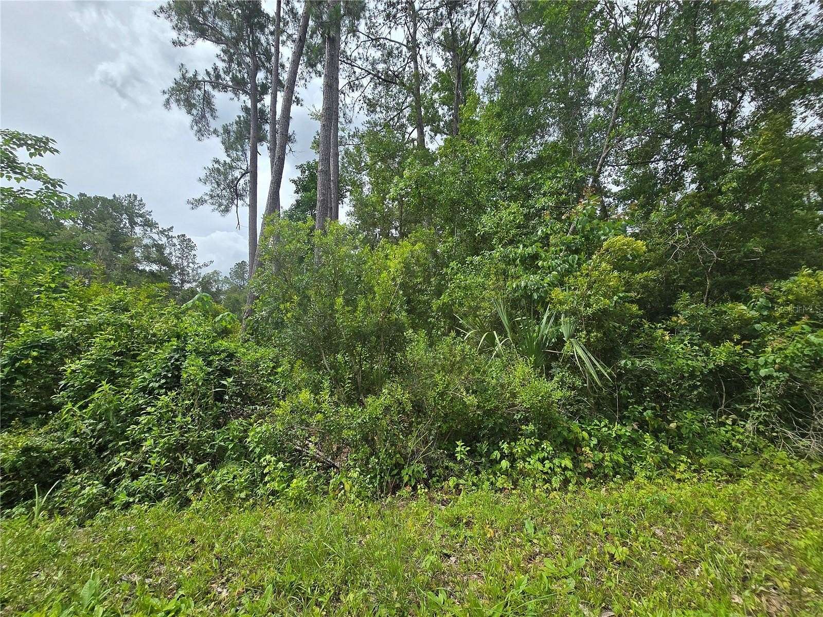 0.23 Acres of Residential Land for Sale in Ocklawaha, Florida