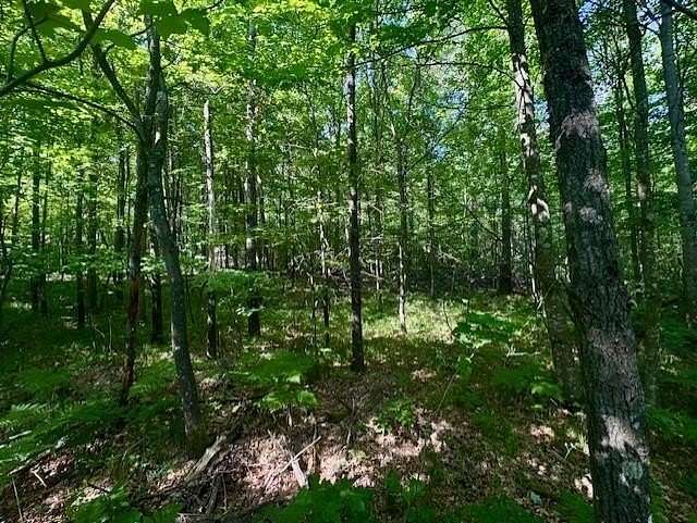 3.69 Acres of Residential Land for Sale in Willard, Wisconsin