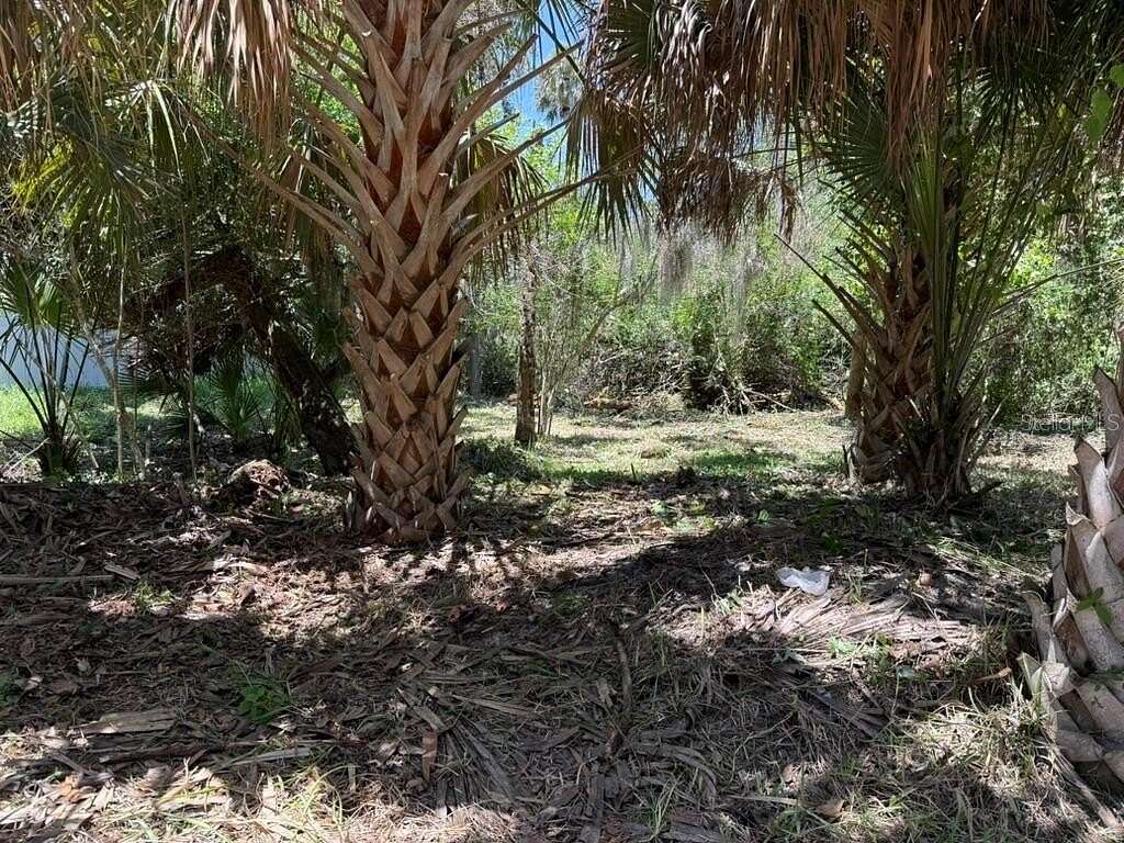 0.28 Acres of Residential Land for Sale in Flagler Beach, Florida