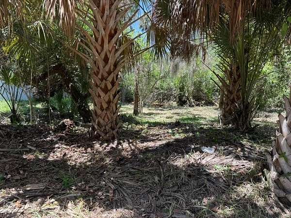 0.28 Acres of Residential Land for Sale in Flagler Beach, Florida