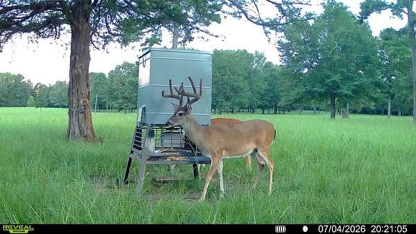 100 Acres of Land for Sale in Gladewater, Texas