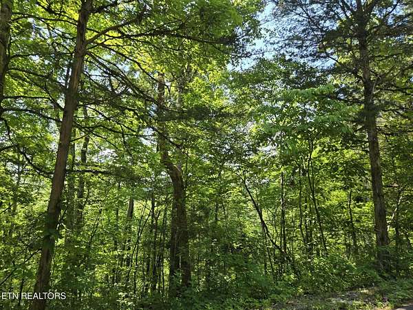 96.5 Acres of Land for Sale in Washburn, Tennessee