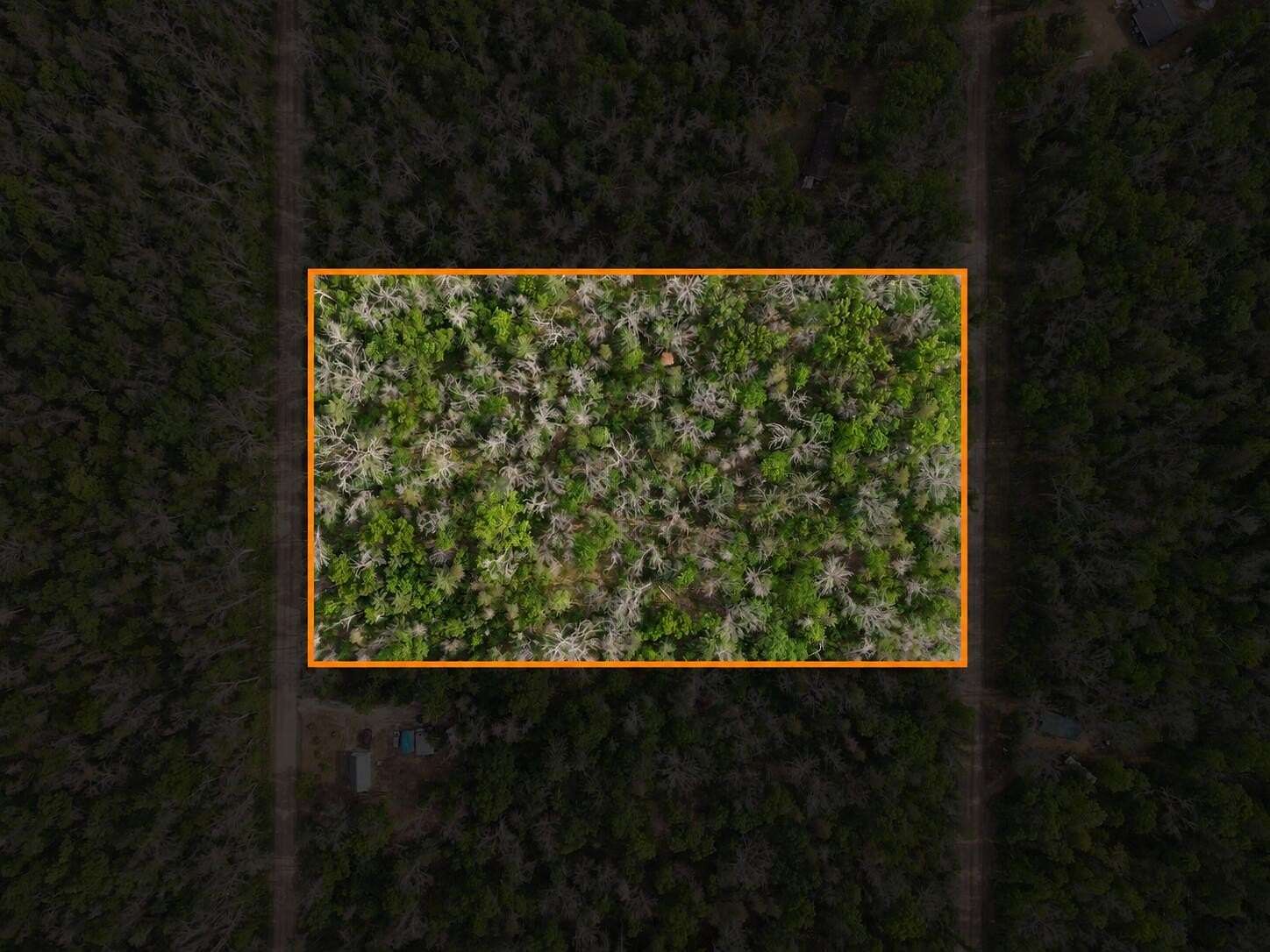 5 Acres of Residential Land for Sale in Baldwin, Michigan