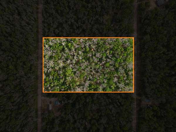 5 Acres of Residential Land for Sale in Baldwin, Michigan