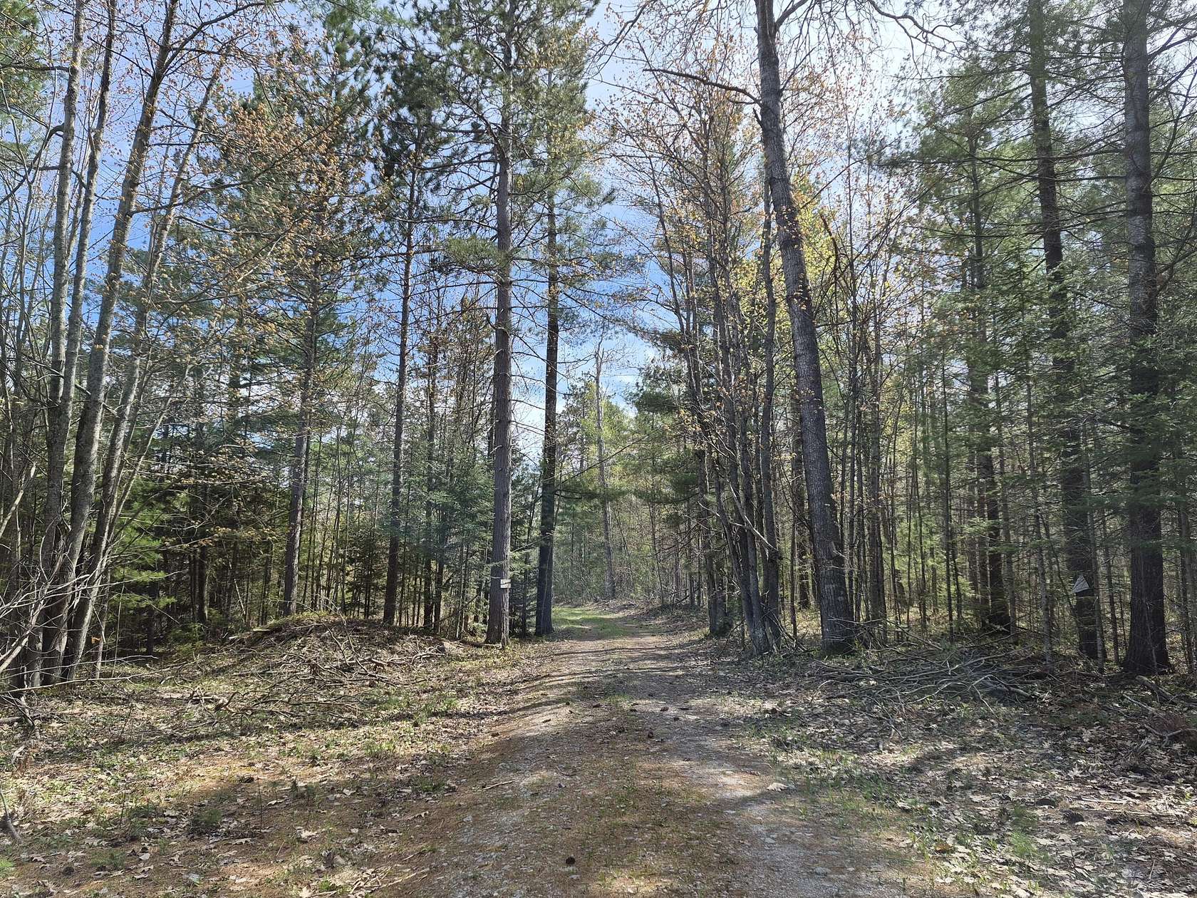 40.7 Acres of Recreational Land for Sale in Millersburg, Michigan