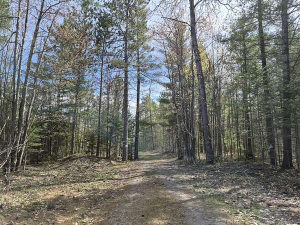 40.7 Acres of Recreational Land for Sale in Millersburg, Michigan