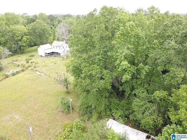 31 Acres of Recreational & Residential Land for Sale in Ward, Alabama