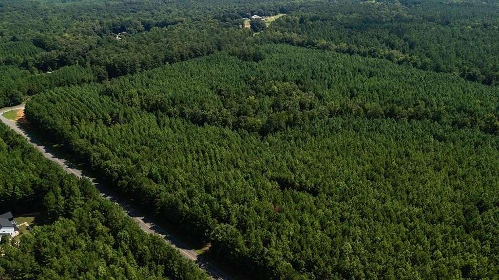 43.3 Acres of Recreational & Residential Land for Sale in Hamilton, Georgia