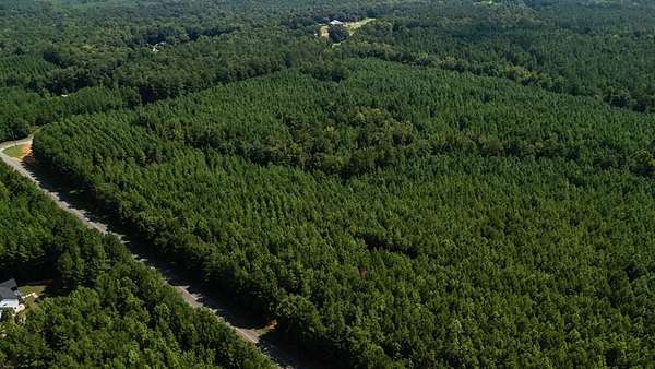 43.3 Acres of Recreational & Residential Land for Sale in Hamilton, Georgia