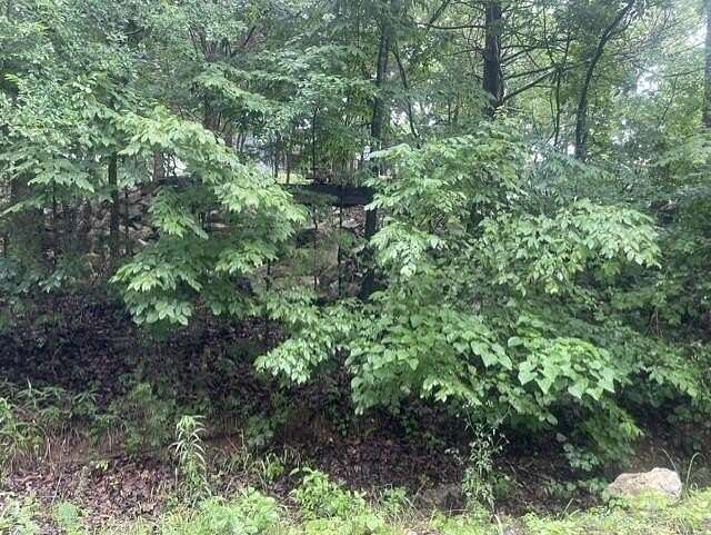 0.5 Acres of Residential Land for Sale in Kimberling City, Missouri