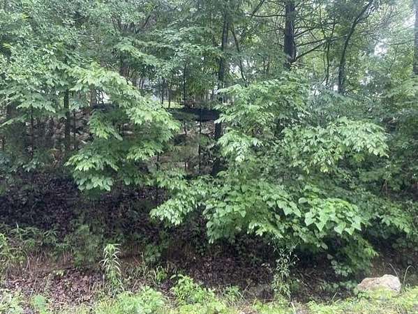 0.5 Acres of Residential Land for Sale in Kimberling City, Missouri