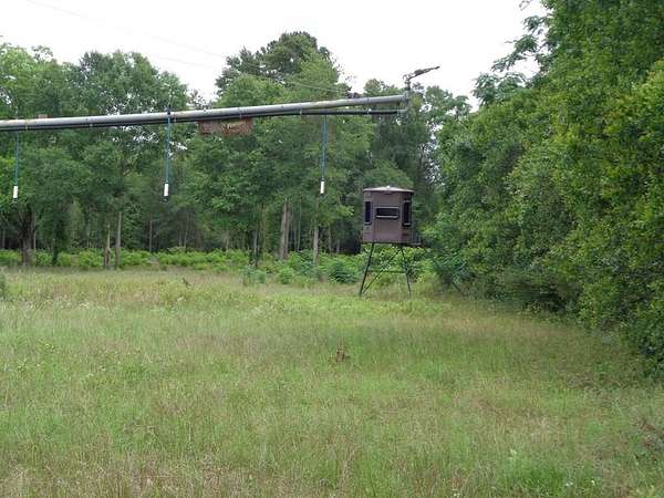 166 Acres of Land for Sale in Newton, Georgia