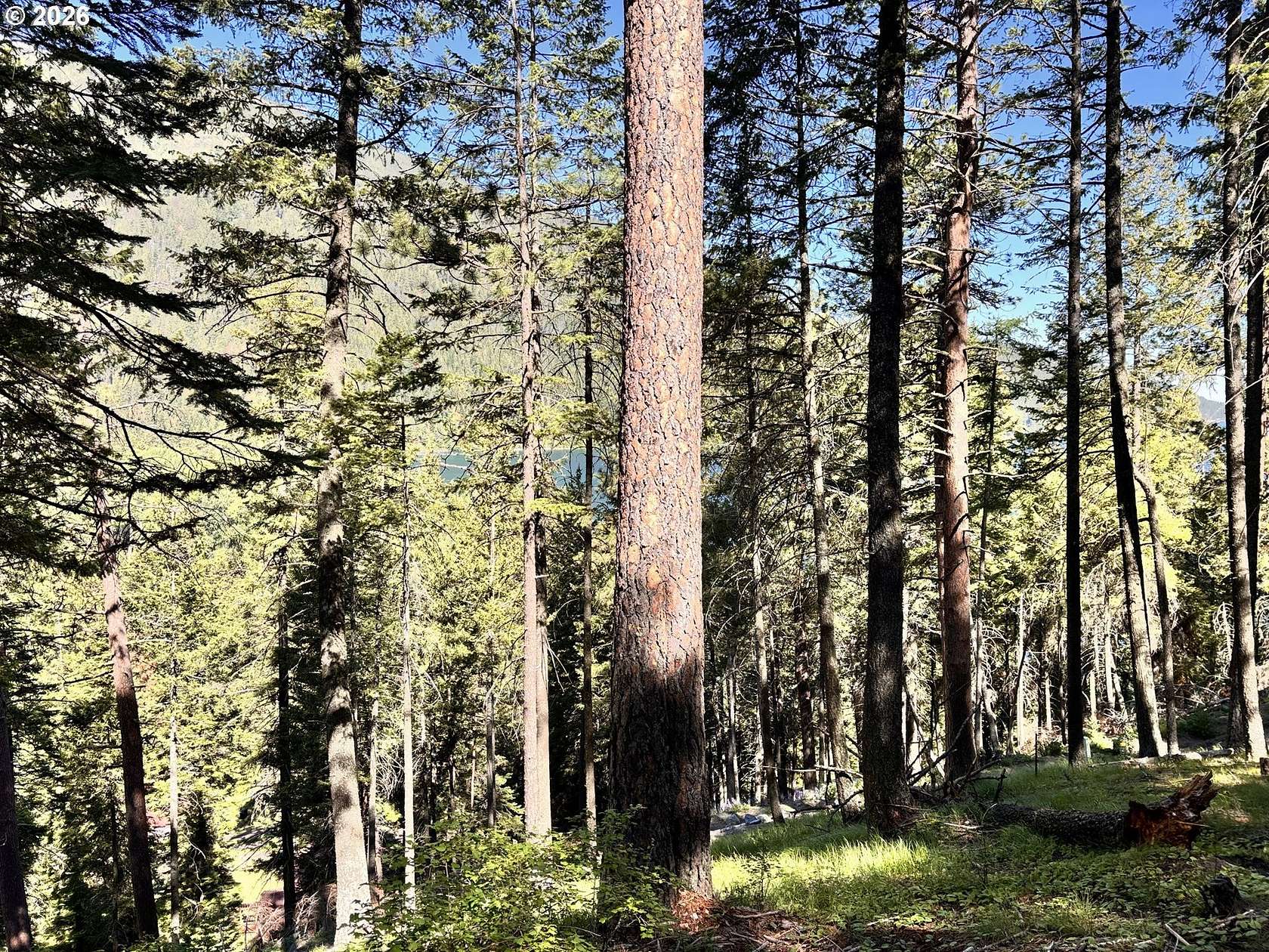 Residential Land for Sale in Joseph, Oregon