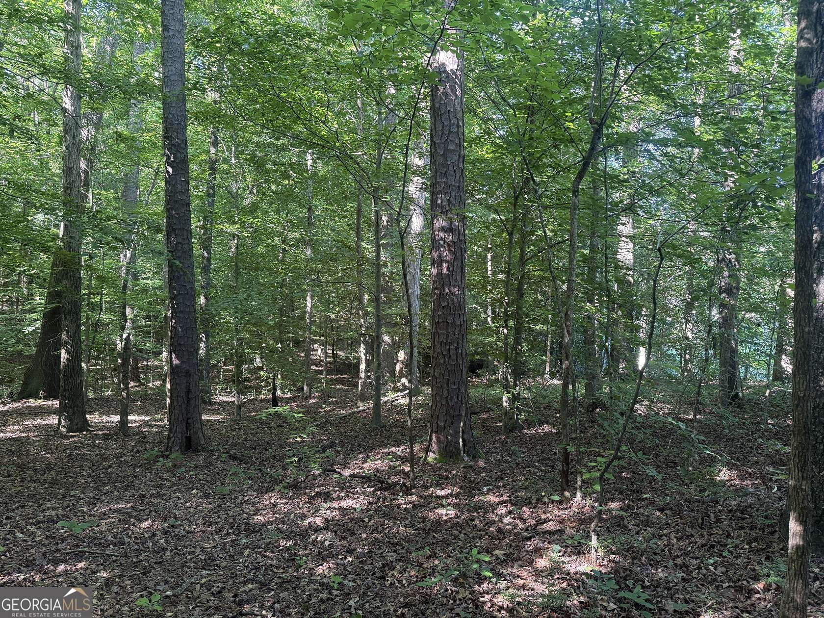 7.15 Acres of Residential Land for Sale in Roopville, Georgia