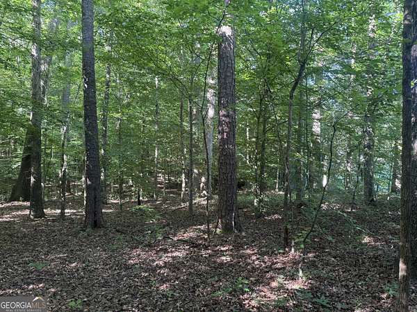 7.15 Acres of Residential Land for Sale in Roopville, Georgia