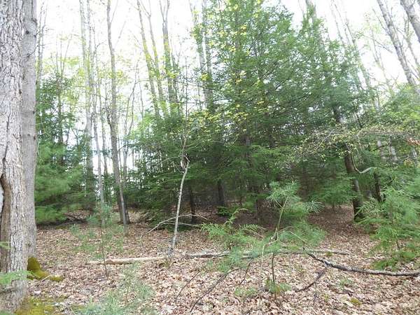 0.33 Acres of Residential Land for Sale in Daniels, West Virginia