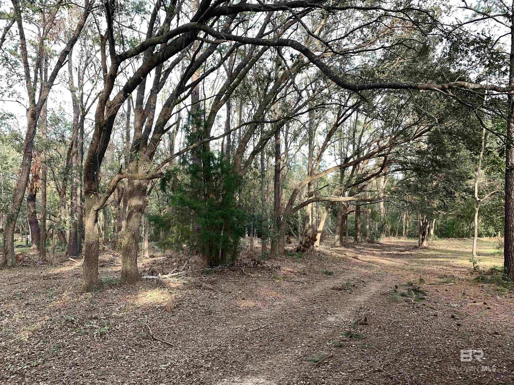 15 Acres of Recreational & Residential Land for Sale in Fairhope, Alabama