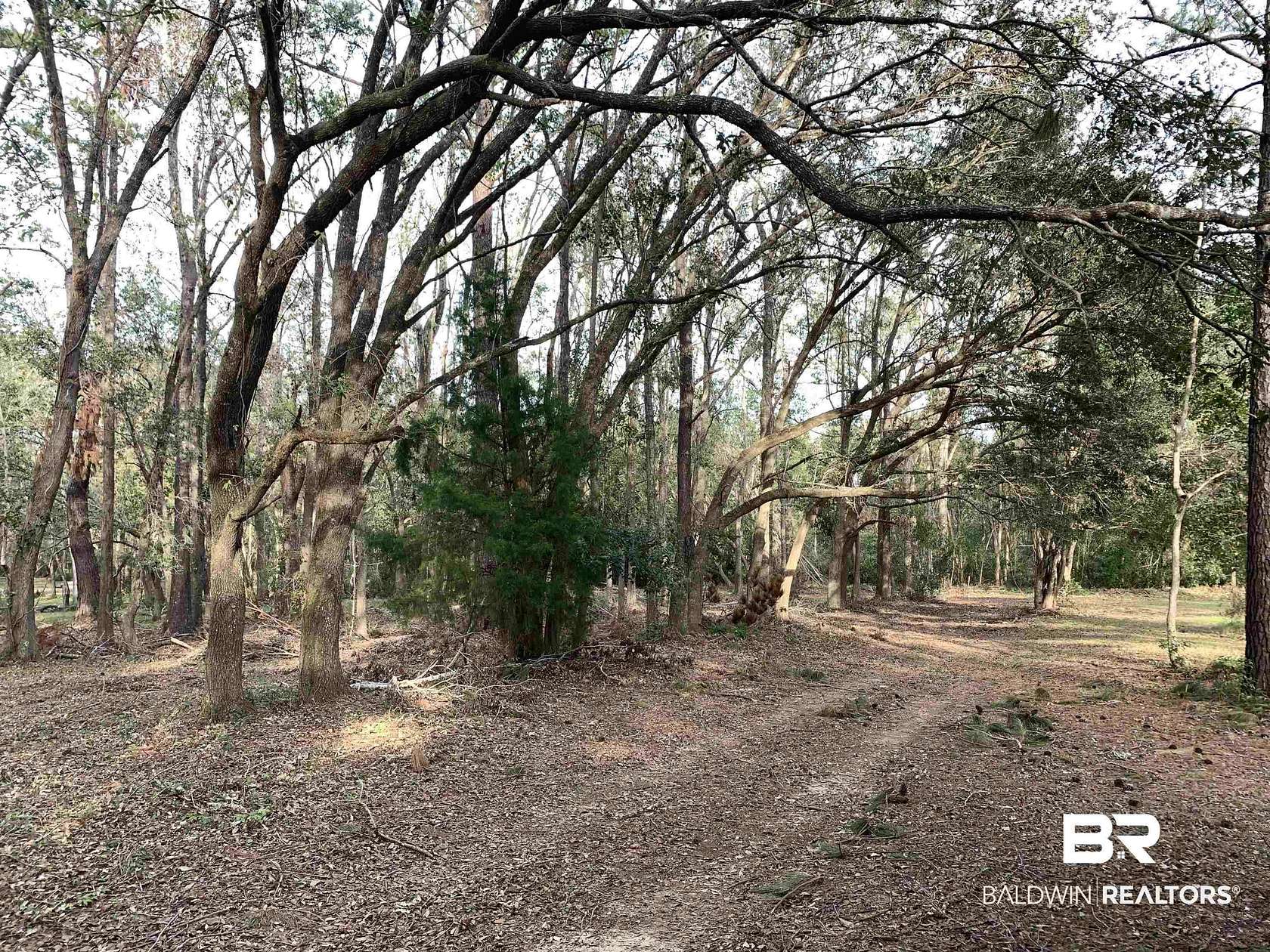 15 Acres of Recreational & Residential Land for Sale in Fairhope, Alabama