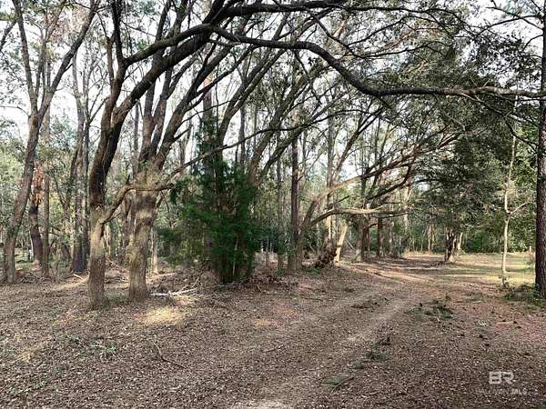 15 Acres of Recreational & Residential Land for Sale in Fairhope, Alabama