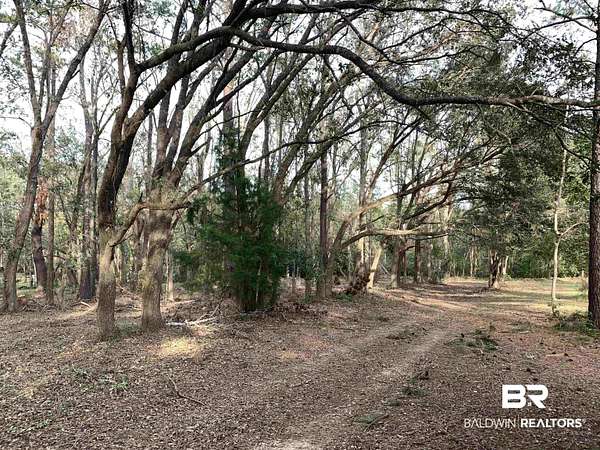 15 Acres of Recreational & Residential Land for Sale in Fairhope, Alabama