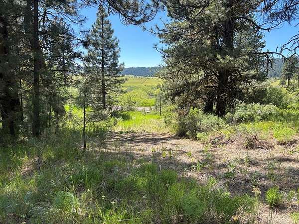 5.18 Acres of Residential Land for Sale in Cascade, Idaho