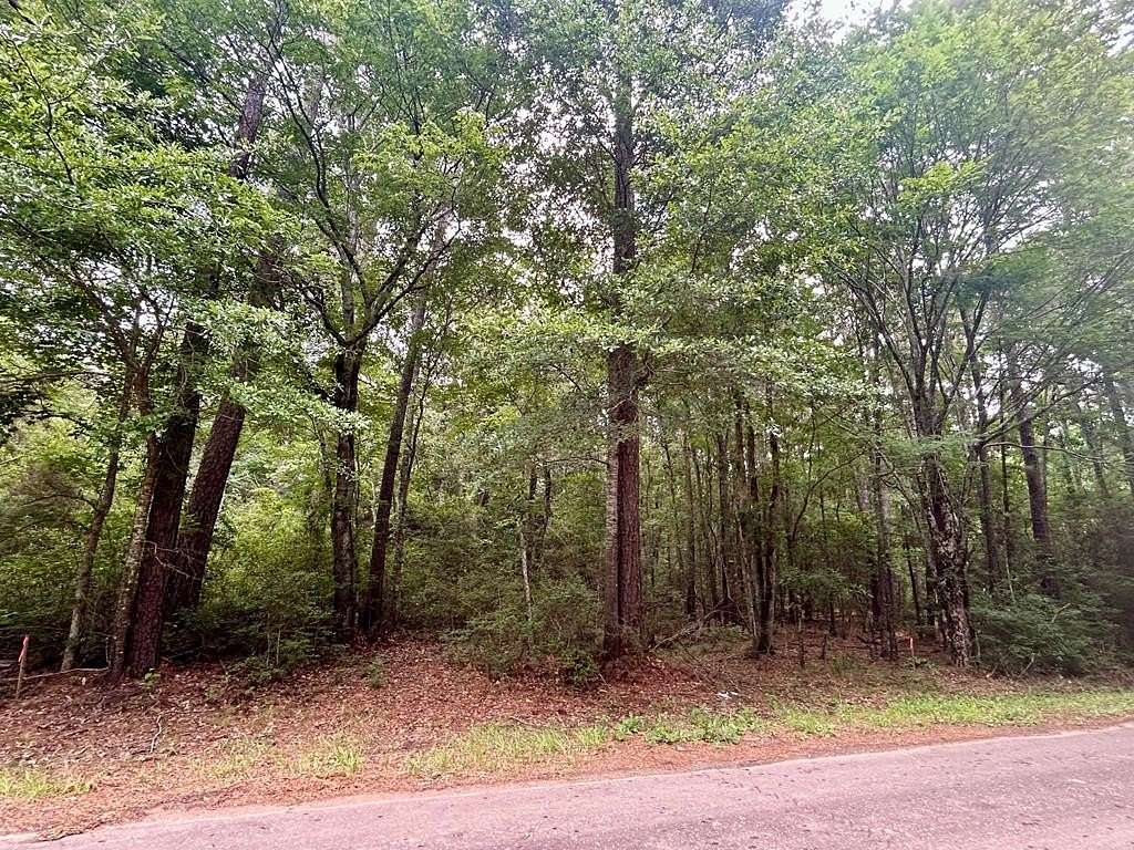 0.9 Acres of Residential Land for Sale in Zavalla, Texas