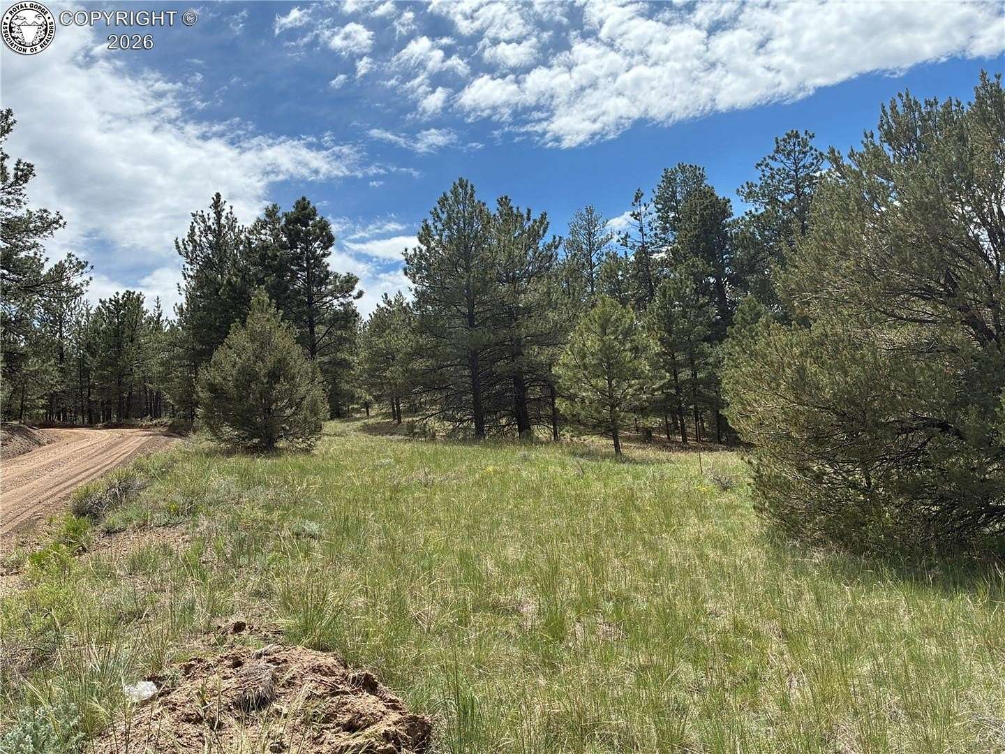 5.25 Acres of Residential Land for Sale in Westcliffe, Colorado