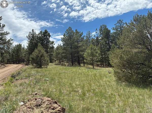 5.25 Acres of Residential Land for Sale in Westcliffe, Colorado