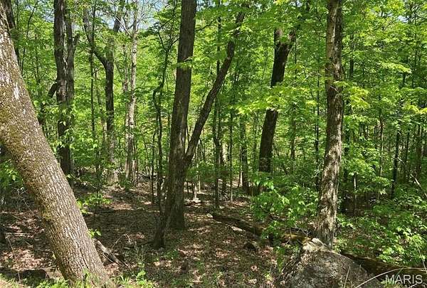 0.5 Acres of Residential Land for Sale in Marthasville, Missouri