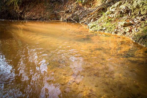 Residential Land for Sale in Henderson, Texas