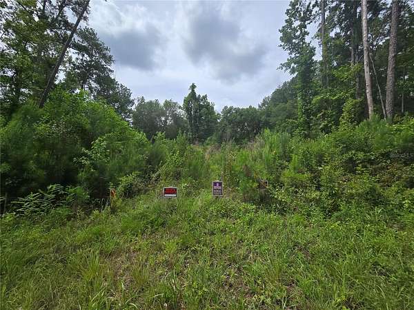 0.23 Acres of Residential Land for Sale in Ocklawaha, Florida