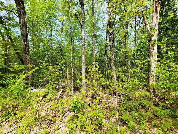 10.2 Acres of Land for Sale in Atkinson Town, Maine
