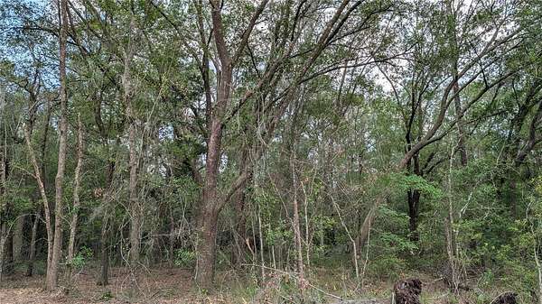 22 Acres of Land for Sale in Waldo, Florida