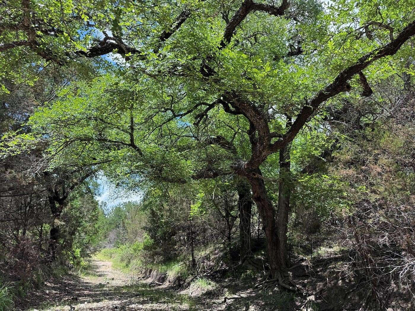 10.6 Acres of Land for Sale in Goldthwaite, Texas