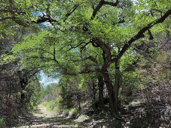 10.6 Acres of Land for Sale in Goldthwaite, Texas