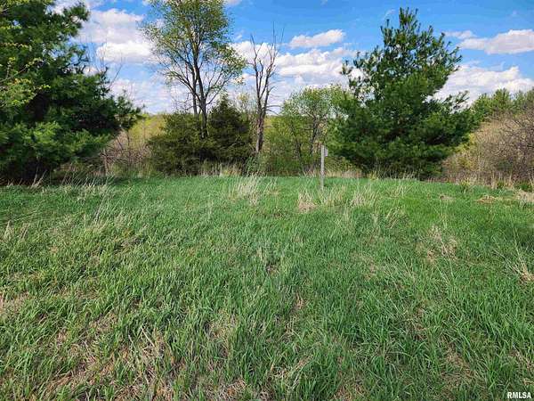 2.8 Acres of Residential Land for Sale in Metamora, Illinois
