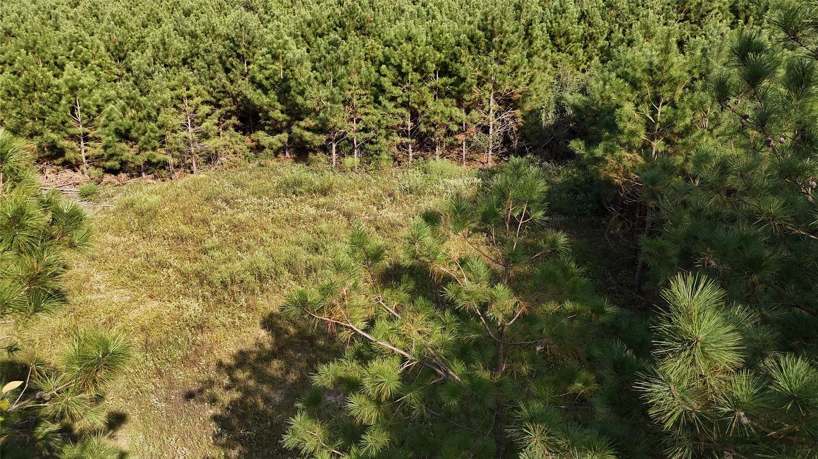 5.5 Acres of Residential Land for Sale in Long Branch, Texas
