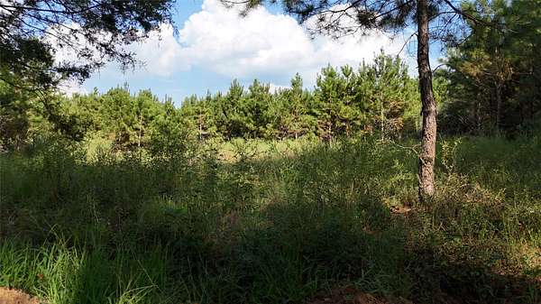 5.5 Acres of Residential Land for Sale in Long Branch, Texas